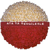 Ankara Cenaze elenk iei ieki firmamzdan Antkabir iin iek elenk modeli